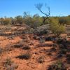 Agnes Creek 2 10/07/2024