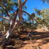 Agnes Creek 3 10/07/2024