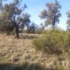 Black Point 23/05/2023