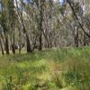Bundalong 1 04/11/2023