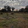 Cattanachs 24/05/2023