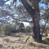 Croppers Lagoon 09/05/2023
