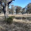 Dayesdale 22/05/2023