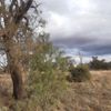 Gerri's Plains 15/05/2023