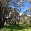 Greens Hill 05/10/2023