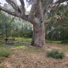 Home 2 06/03/2024
