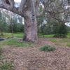 Home 2 09/01/2024