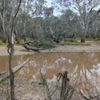 Horseshoe Lagoon 1 12/11/2024