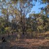 Killawarra 10 31/03/2024