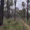 Killawarra 4 10/08/2023