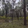 Killawarra 5 10/08/2023