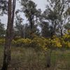 Killawarra 6 10/08/2023