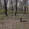 Killawarra 8 10/08/2023