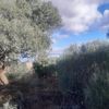 Lila's Dam 15/05/2023