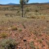 Mereenie Track 2 16/07/2024