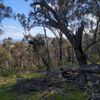 Mt Meg 3 23/09/2024