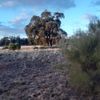 Municipal Boundary Pretty Pine 28/05/2023