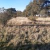 Murchison Tank 09/05/2023