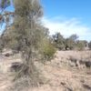 Myall Plains 21/05/2023