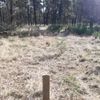 Narrow Plains 21/05/2023