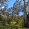 Pickering's Hut 3 29/11/2024