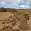 Port Augusta 1 08/07/2024