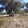 Tocumwal 3 Mile 10/05/2023