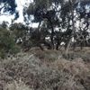 Wakool tip yards 17/05/2023