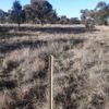 Wangamong 21/05/2023