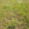 Wangaratta Common 1 09/10/2023