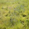 Wangaratta Common 2 09/10/2023