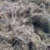 Wangaratta Common 2 18/08/2024