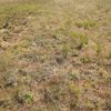 Wangaratta Common 3 09/10/2023