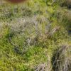 Wangaratta Common 4 09/10/2023