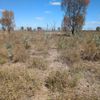 Winton 1 20/03/2024