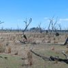 Winton Northern Spit 20/03/2024