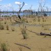 Winton Northern Spit 27/12/2023
