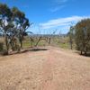 Winton Spit Island 1 17/02/2025