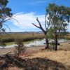 Winton Spit Island North 17/02/2025