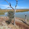 Winton Spit Island South 17/02/2025