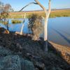Winton Spit Island South 22/05/2024