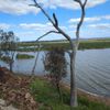 Winton Spit Island South 24/10/2024