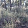 jindalee 07/05/2023