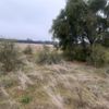 puckawidgee 29/05/2023