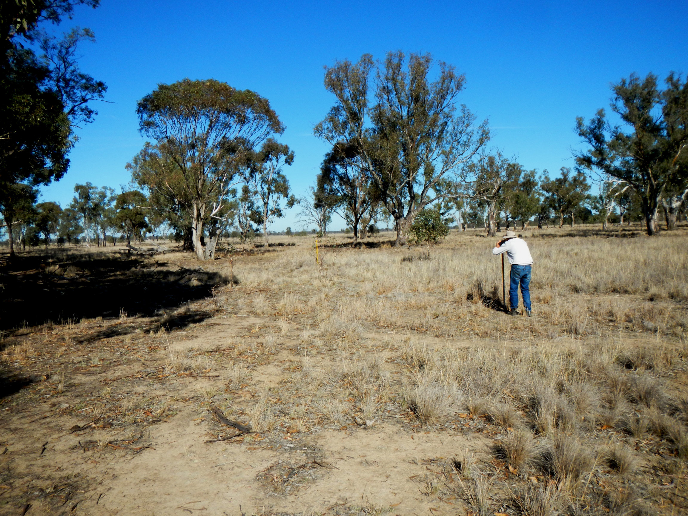 Man setting up a photopoint for monitoring